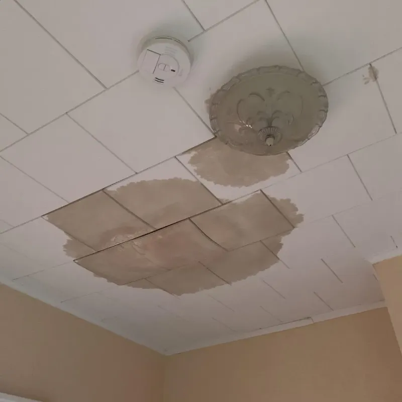 Ceiling Water Damage Repair in Edmond, OK