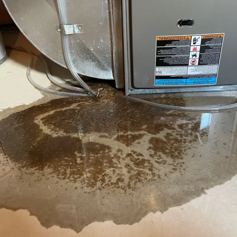 Pipe Burst and Leak Restoration in Edmond, OK