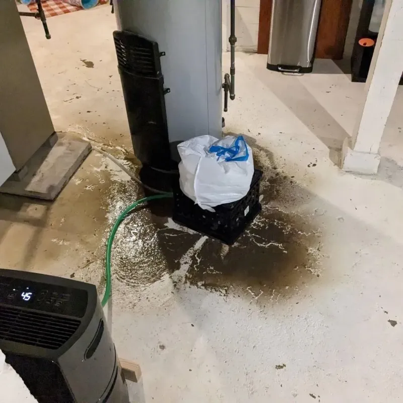 Sewage Backup Cleanup Service in Edmond, OK